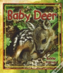 Capa do artigo Baby Deer