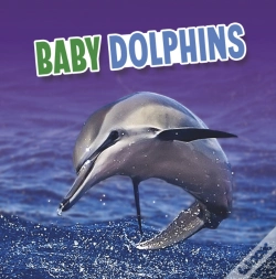 Capa do artigo Baby Dolphins
