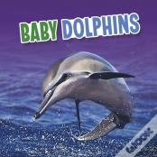 Baby Dolphins