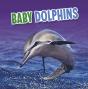 Baby Dolphins - Preview