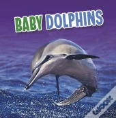 Baby Dolphins