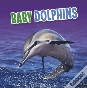 Capa do artigo Baby Dolphins