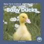 Baby Ducks - Preview