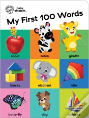 Capa do artigo Baby Einstein: My First 100 Words