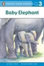 Baby Elephant - Preview