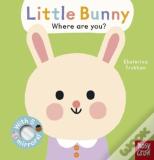 Baby Faces: Little Bunny, Where Are You?