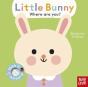 Baby Faces: Little Bunny, Where Are You? - Preview
