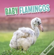 Capa do artigo Baby Flamingos