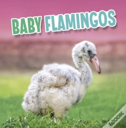 Capa do artigo Baby Flamingos