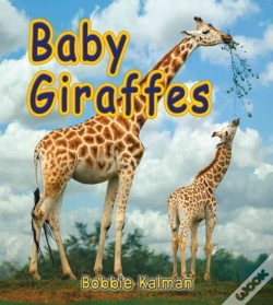 Capa do artigo Baby Giraffes