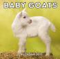 Baby Goats Calendar 2021 - Preview