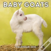Baby Goats Calendar 2021