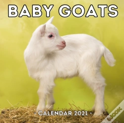 Capa do artigo Baby Goats Calendar 2021