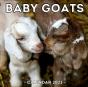 Baby Goats Calendar 2021 - Preview