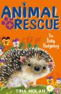Baby Hedgehog - Preview