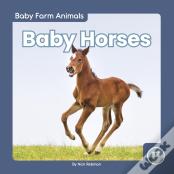 Baby Horses