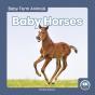 Baby Horses - Preview