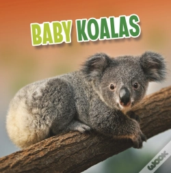 Capa do artigo Baby Koalas