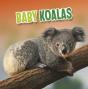 Baby Koalas - Preview