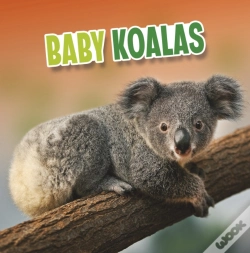 Capa do artigo Baby Koalas