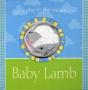 Baby Lamb - Preview