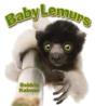 Baby Lemurs - Preview