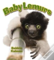 Capa do artigo Baby Lemurs