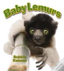 Capa do artigo Baby Lemurs