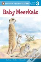 Baby Meerkats
