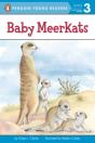 Baby Meerkats - Preview