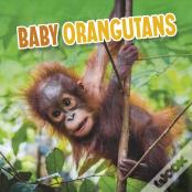 Baby Orangutans