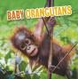 Baby Orangutans - Preview