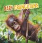 Baby Orangutans - Preview