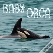 Capa do artigo Baby Orca