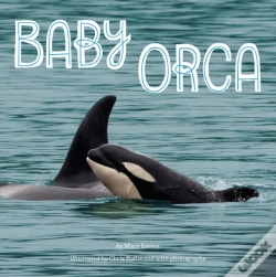 Capa do artigo Baby Orca