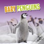 Baby Penguins