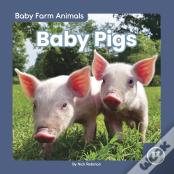 Baby Pigs