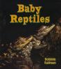 Baby Reptiles - Preview