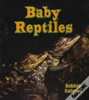 Capa do artigo Baby Reptiles