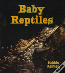 Capa do artigo Baby Reptiles
