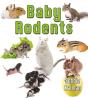Baby Rodents - Preview