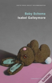 Capa do artigo Baby Schema