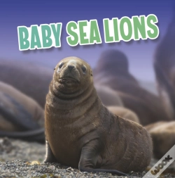 Capa do artigo Baby Sea Lions