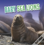 Baby Sea Lions