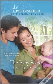 Capa do artigo Baby Secret