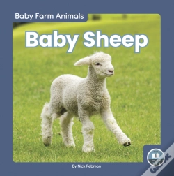 Capa do artigo Baby Sheep