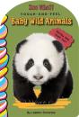 Baby Wild Animals Touch And Feel - Preview