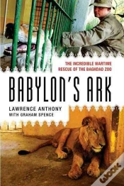 Capa do artigo Babylon
