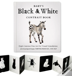 Capa do artigo Baby'S Black And White Contrast Book
