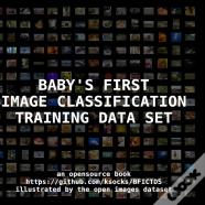 Baby'S First Image Classification Training Data Set